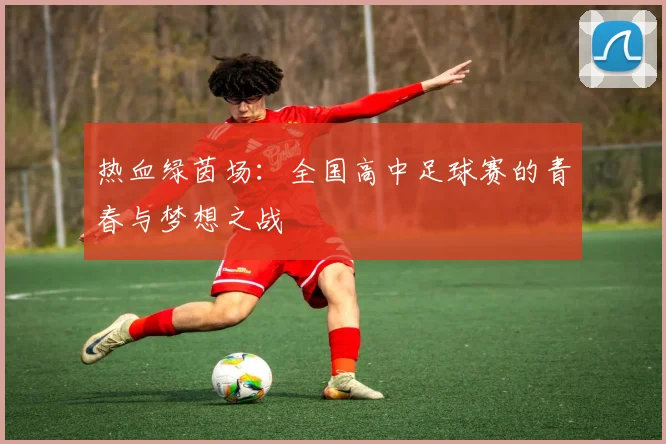 热血绿茵场：全国高中足球赛的青春与梦想之战